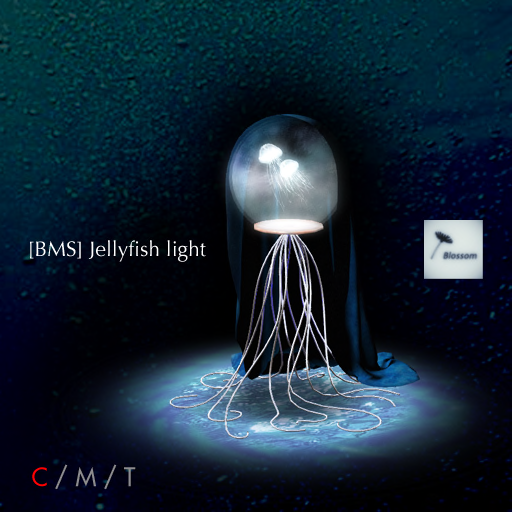 [BMS]-Jellyfish-light